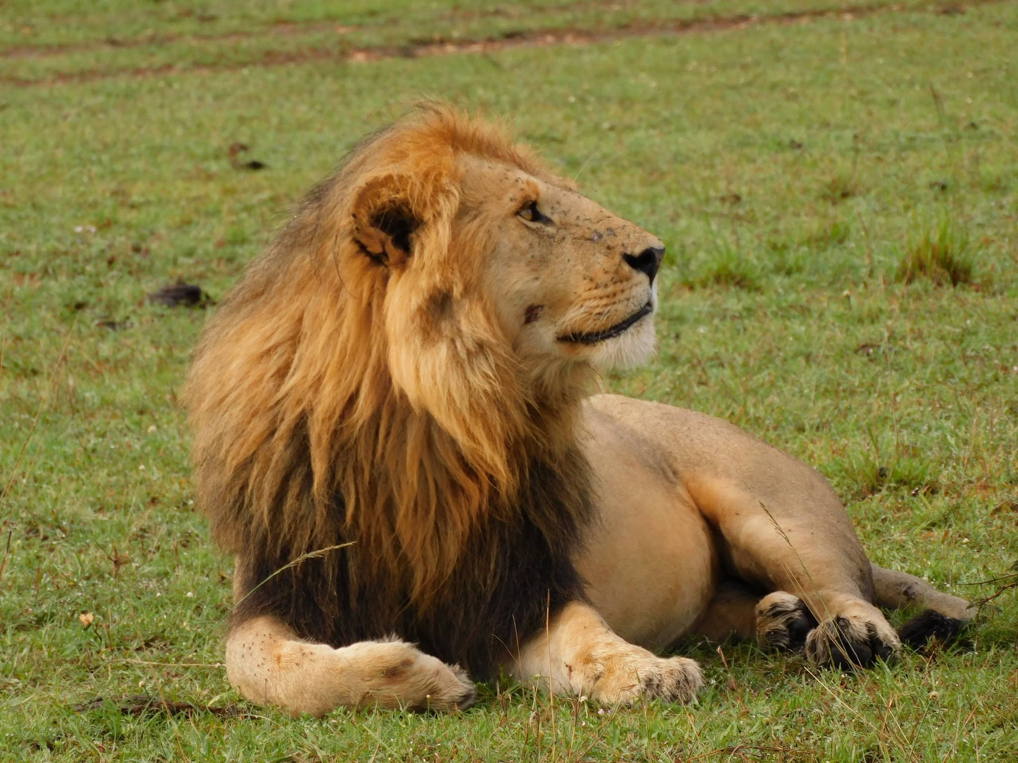 7 days Wildlife safari photo